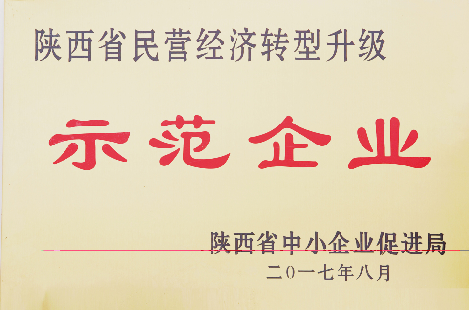 陜西省民營經濟轉型升級示范企業(yè)