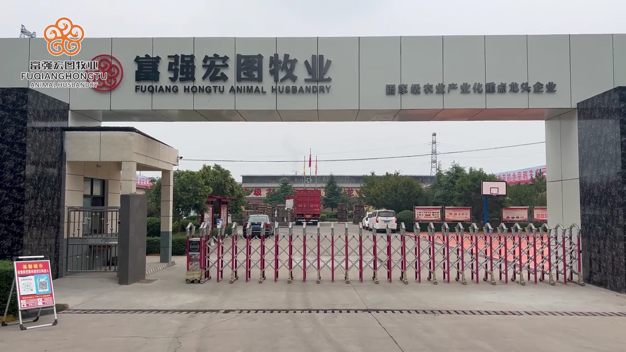 一路同行，不負(fù)久候。金牌好鴨，品質(zhì)人生！